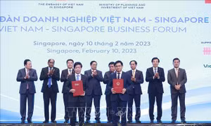 Chuyến thăm Singapore và Brunei của Thủ tướng Phạm Minh Chính đạt kết quả rất toàn diện, thực chất và cụ thể