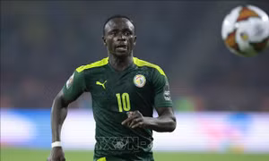 WORLD CUP 2022: Bảng A - Phép thử Senegal cho 'Cơn lốc màu Da cam'