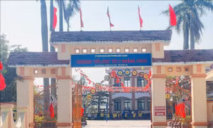 Tạm đình chỉ công tác hiệu trưởng trường tiểu học để điều tra dấu hiệu 'chạy' hợp đồng