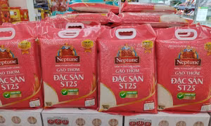Bác thông tin gạo thơm ST24 và ST25 được hưởng ưu đãi thuế xuất khẩu sang EU