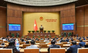 Kế hoạch triển khai thi hành Luật Phòng không nhân dân