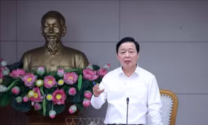 Kiên quyết xử lý vi phạm, nâng hiệu quả giám sát tàu cá, hướng tới gỡ 'thẻ vàng' IUU