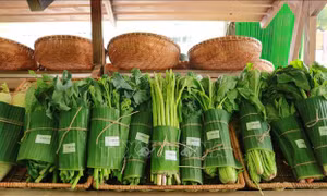 Lợi ích kép từ kinh tế tuần hoàn