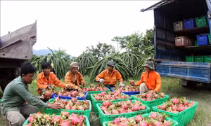 Để xuất khẩu bắt nhịp xu thế mới