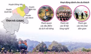Tam giác mạch: Độc đáo 'Sắc màu hoa đá'
