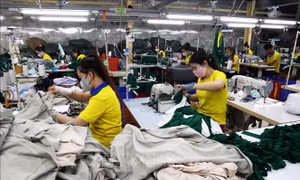 Chế độ bảo hiểm tai nạn lao động tự nguyện áp dụng từ ngày 1/1/2025