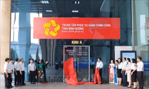 Chương trình tổng thể của Chính phủ về thực hành tiết kiệm, chống lãng phí năm 2025