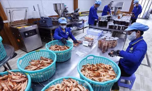 Bật 'công tắc' tăng trưởng từ cải cách thể chế