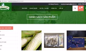Thương mại điện tử mở đường cho doanh nghiệp trong bối cảnh bình thường mới