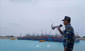 Điều động 3 tàu kiểm ngư tìm kiếm ngư dân Bình Định mất tích