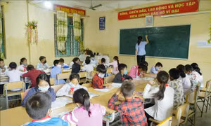 Tạo nguồn bổ sung giáo viên các cấp học