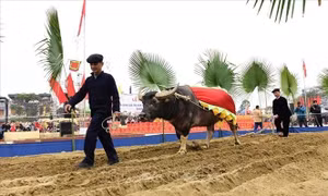 Nô nức Lễ hội Lồng Tông - Ngày hội xuống đồng của dân tộc Tày tại Tuyên Quang