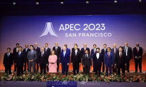 Khẳng định vị thế Việt Nam trong APEC
