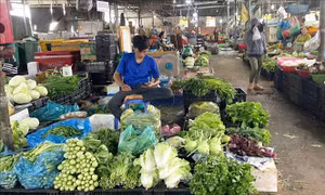 Chợ đầu mối TP Hồ Chí Minh bình ổn giá giữa biến động chi phí