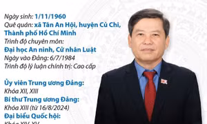Bí thư Trung ương Đảng, Chánh án Tòa án nhân dân tối cao Lê Minh Trí
