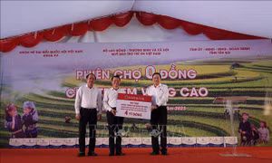 Hơn 6 tỷ đồng thực hiện các hoạt động xã hội tại Yên Bái