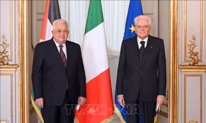 Thúc đẩy quan hệ song phương Palestine - Italy