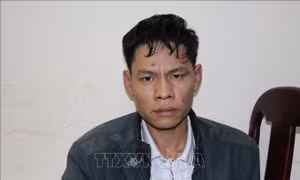 Vì Văn Toán là kẻ chủ mưu vụ nữ sinh giao gà bị sát hại ở Điện Biên