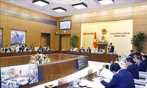 Thông qua nghị quyết triển khai thi hành Luật Tổ chức Tòa án nhân dân năm 2024