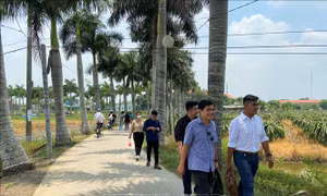 Khai thác tour du lịch đường sông đôi dòng Vàm Cỏ