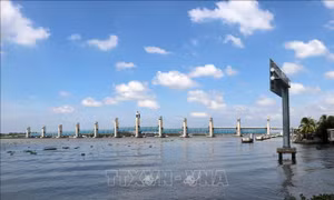 Xâm nhập mặn ở Đồng bằng sông Cửu Long có xu thế tăng dần vào giữa tuần