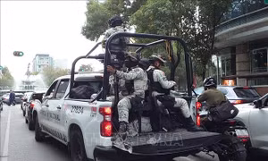 Mexico phát hiện trên 700 người nghi là nạn nhân của tội phạm buôn người