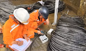 Hơn 84% khách hàng miền Trung bị ảnh hưởng do mưa lũ được cấp điện trở lại