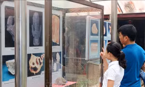 Tu bổ, phục hồi di tích quốc gia chùa Đọi Sơn