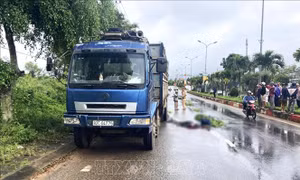 Xe máy va chạm xe tải khiến hai vợ chồng tử vong