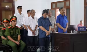 Vi phạm quy định về cho vay, giám đốc ngân hàng và doanh nghiệp lĩnh án tù
