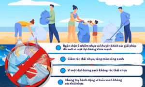 Những thông điệp của đại dương