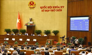 Quốc hội thông qua Nghị quyết về một số cơ chế, chính sách đặc biệt phát triển kinh tế tư nhân