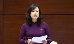 Kiện toàn thành viên Ủy ban Quốc gia về trẻ em