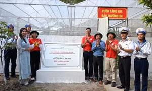 Chuyến thăm Trường Sa và Nhà giàn DK1: Kết nối kiều bào với biển đảo Tổ quốc