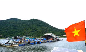 Phát triển nghề nuôi biển theo hướng công nghiệp ứng dụng công nghệ cao