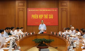 Chủ tịch nước chủ trì Phiên họp thứ 6 Ban Chỉ đạo Cải cách tư pháp Trung ương
