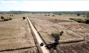 Gia Lai: Không chuyển đổi rừng sang làm vùng tưới của hồ thủy lợi Ia Mơr