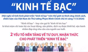 Định hướng phát triển 'kinh tế bạc' tại Việt Nam
