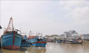 Khắc phục 'thẻ vàng' IUU: EC dự kiến kiểm tra vào tháng 9 hoặc tháng 10/2024
