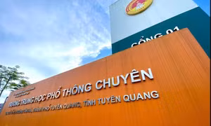 Một thư ký điểm thi Trường THPT Chuyên Tuyên Quang ra đầu thú