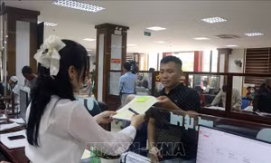 Ban hành danh mục vị trí việc làm công chức