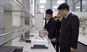 Quảng Ninh đưa phòng thí nghiệm nông sản và thực phẩm khu vực cửa khẩu vào hoạt động