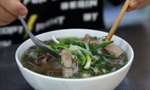 Lễ hội phở Việt Nam tại Hàn Quốc đưa hương vị truyền thống vươn xa
