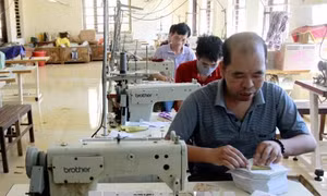 Chương trình 'Chung tay xoa dịu nỗi đau da cam'