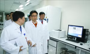Hệ thống giám sát dịch bệnh tại các cửa khẩu quốc tế của Việt Nam đã được 'kích hoạt'