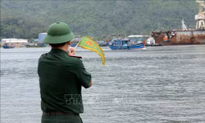 Ứng phó với bão số 5: Các nhà mạng viễn thông sẵn sàng phương án bảo đảm liên lạc