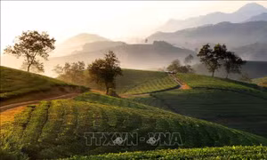 Cơ hội phát triển du lịch từ Famtrip, Presstrip
