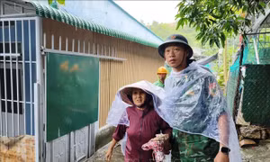 Giám sát và triển khai ứng phó dịch bệnh trong bão lũ