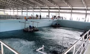 Đẩy nhanh các dự án xử lý nước thải tại Bình Dương (cũ)