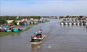 Thứ trưởng Phùng Đức Tiến: Xử lý nghiêm tàu cá không đủ điều kiện tham gia khai thác
